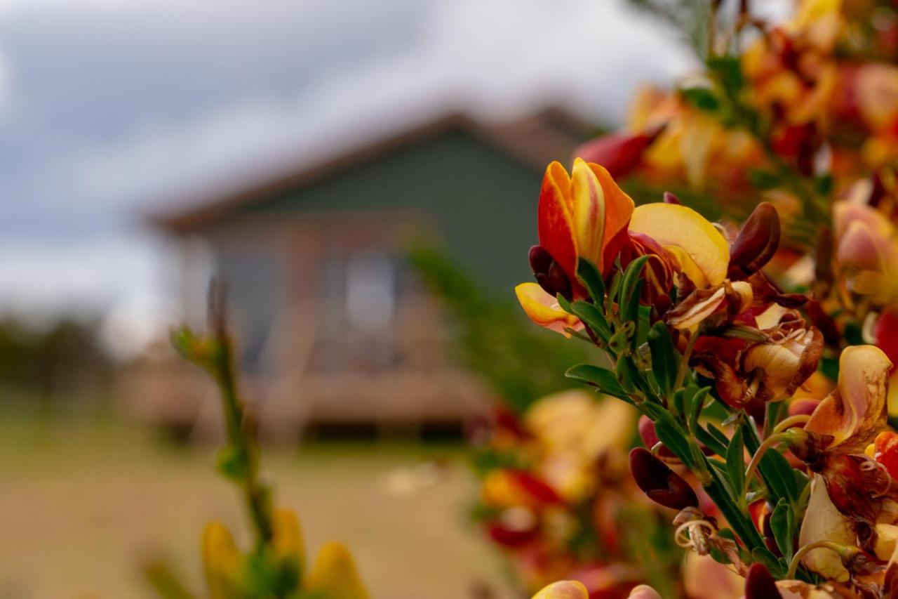 Garden Domes Villa Puerto Natales Ngoại thất bức ảnh