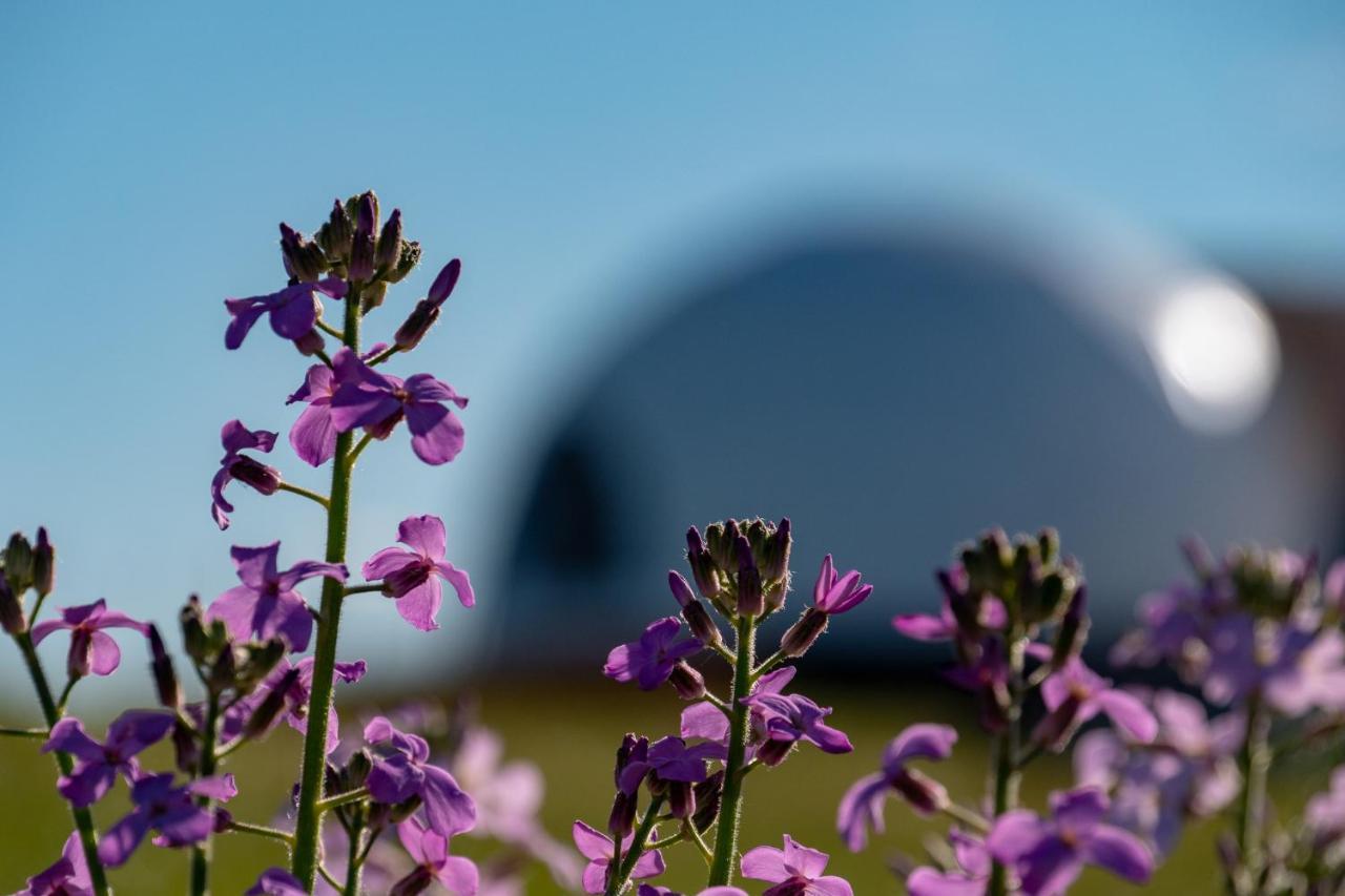 Garden Domes Villa Puerto Natales Ngoại thất bức ảnh