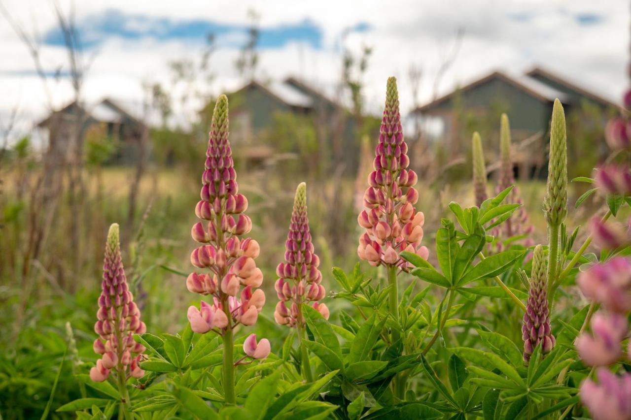 Garden Domes Villa Puerto Natales Ngoại thất bức ảnh