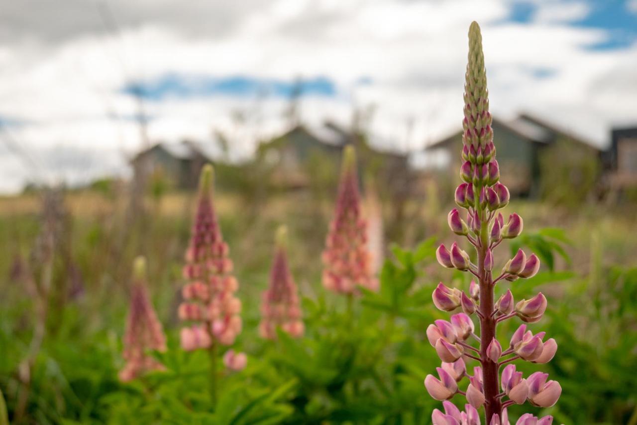 Garden Domes Villa Puerto Natales Ngoại thất bức ảnh