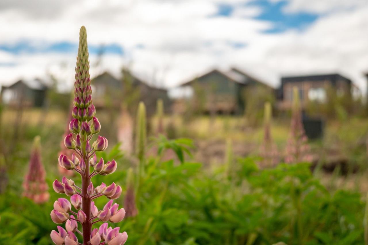 Garden Domes Villa Puerto Natales Ngoại thất bức ảnh