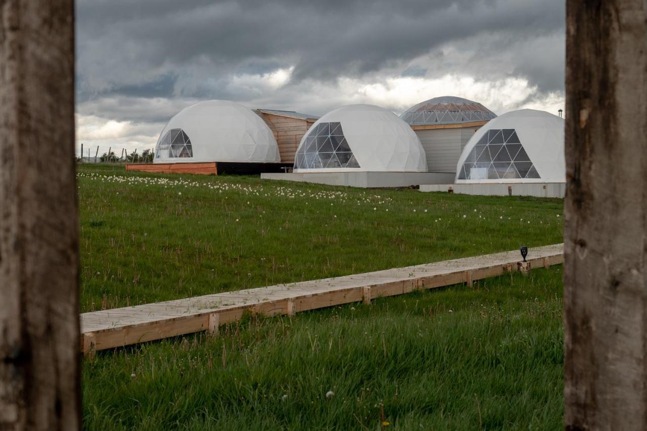 Garden Domes Villa Puerto Natales Ngoại thất bức ảnh