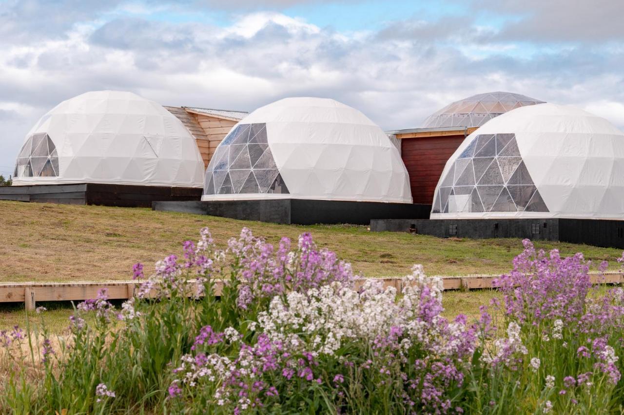 Garden Domes Villa Puerto Natales Ngoại thất bức ảnh